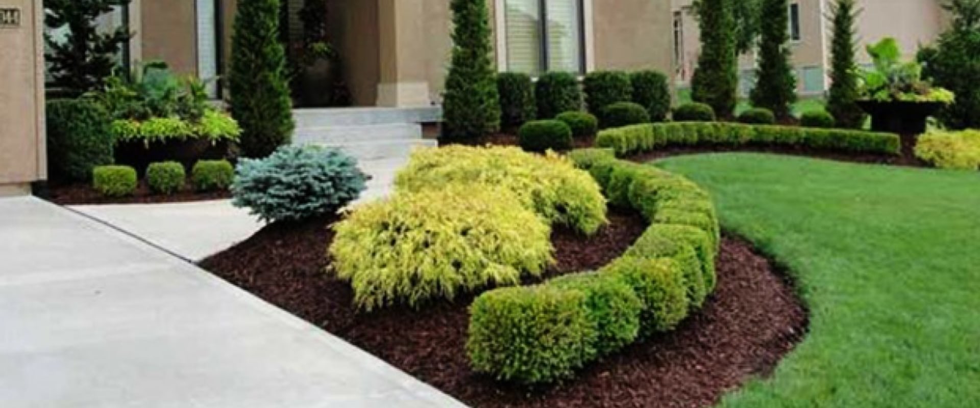 What Are The Five Basic Elements Of Landscape Design?