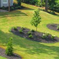 What are the five basic landscaping design principles?