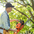 Sculpting Nature: The Importance Of Tree Pruning And Trimming For Landscape Architects In Groveland, MA