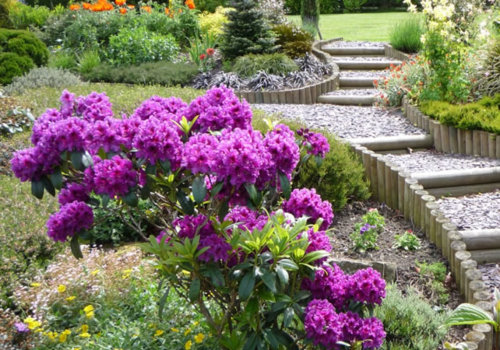 What are the five principles of landscape design?
