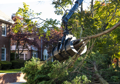 Elevate Your Landscape Design With Expert Tree Pruning Services In Groveland, MA